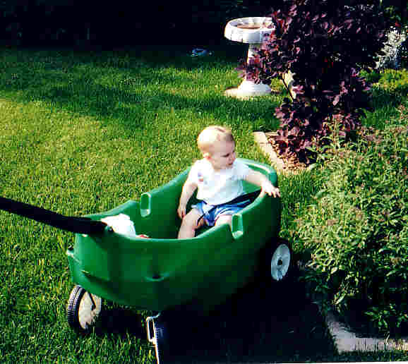 Taking a ride in her little green wagon in Grandma & Grandpa Toogood's yard.
