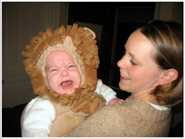 Hear him ROAR!