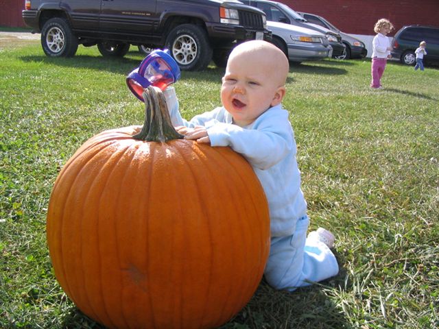 This is a BIGGG pumpkin