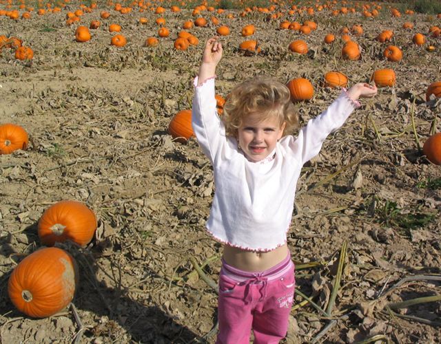 I love pumpkins!